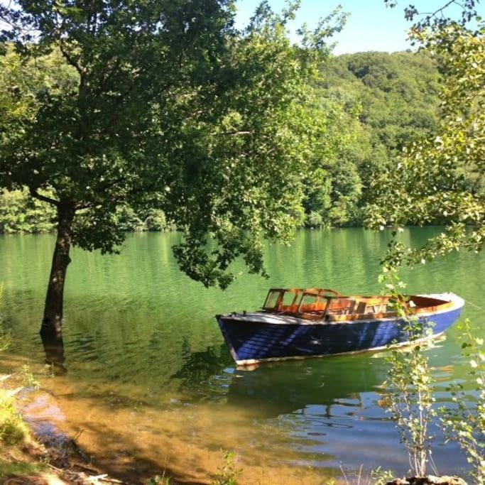 Castelnau-de-Mandailles Lake House I // Alauzet Ecolodge + Nature Spa מראה חיצוני תמונה